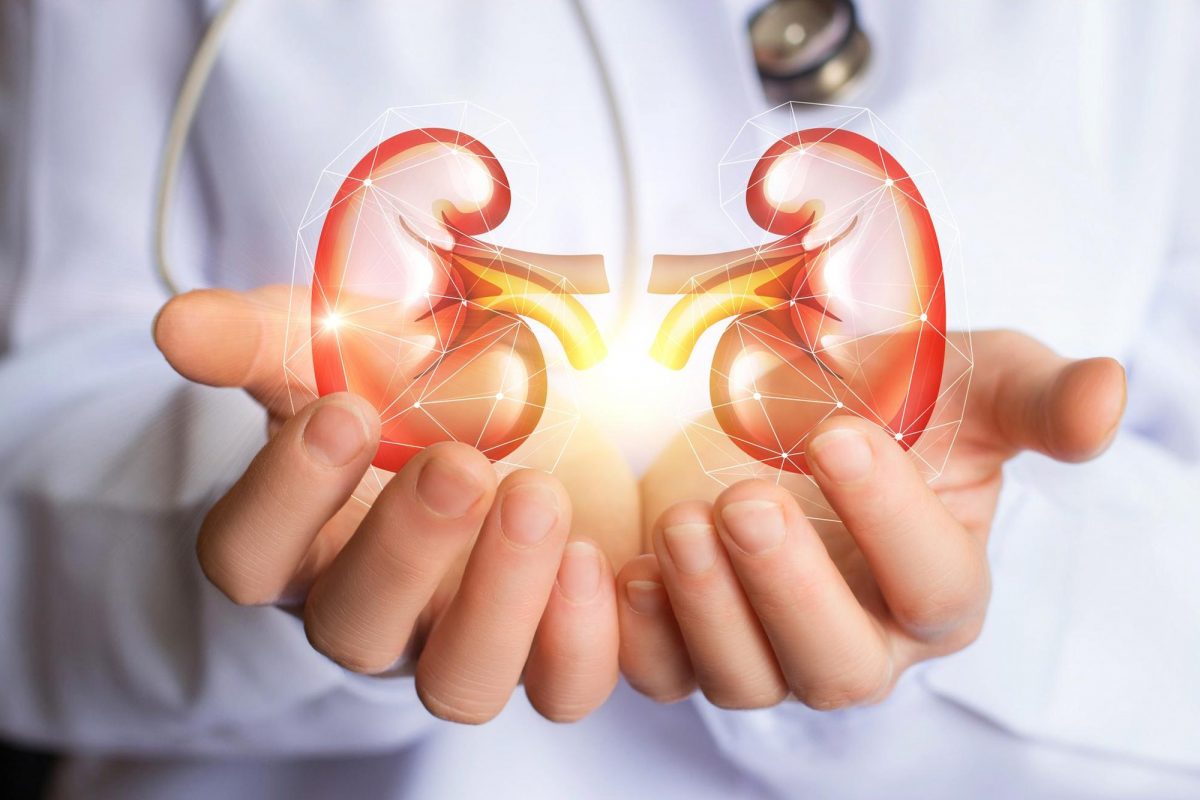 https://www.texaskidneycare.com/boerne/