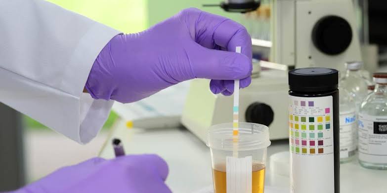 Fake urine