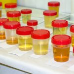 Synthetic Urine Buying