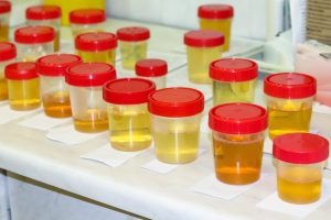 Synthetic Urine Buying